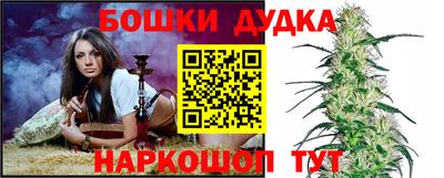 дмт Аша