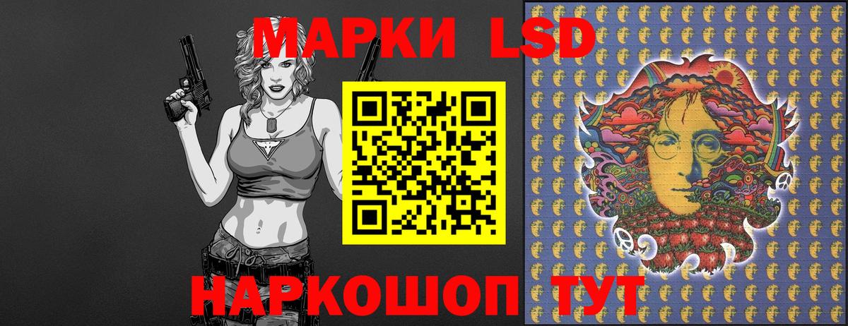 где можно купить наркотик  Наркотические марки 1500мкг  Вход с VPN  Гатчина 