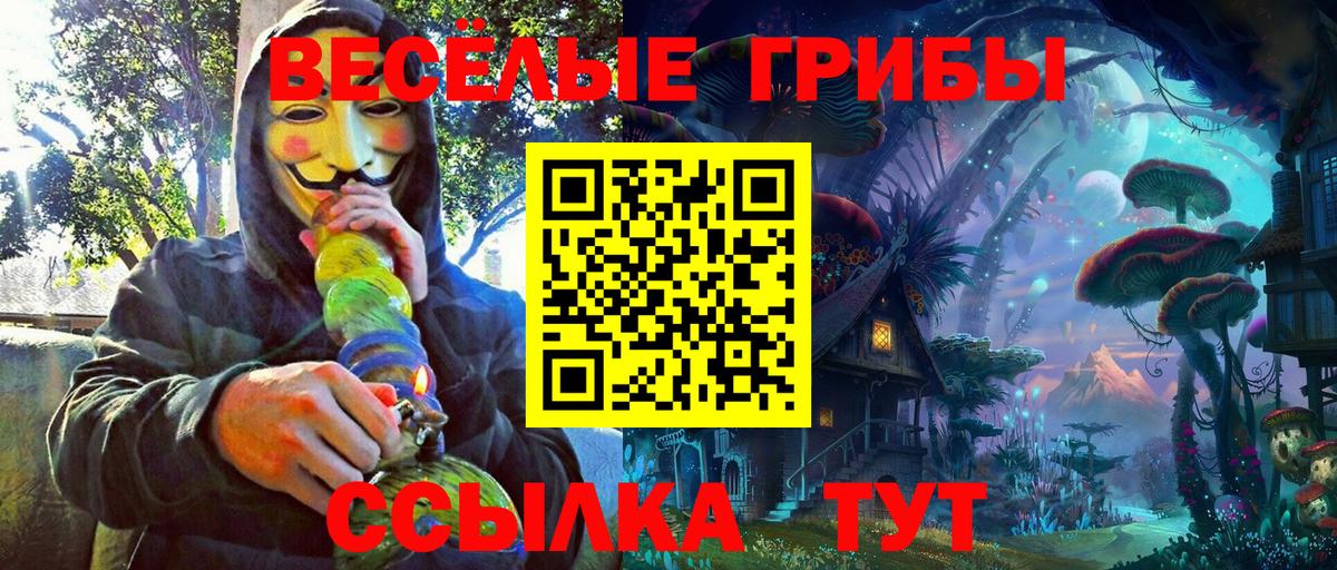 Псилоцибиновые грибы ЛСД Гатчина