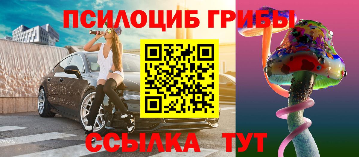 Псилоцибиновые грибы Psilocybe  Вход с VPN  Гатчина 