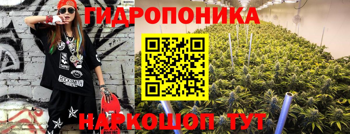 Бошки Шишки конопля Гатчина